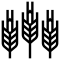 MaltFrom-min